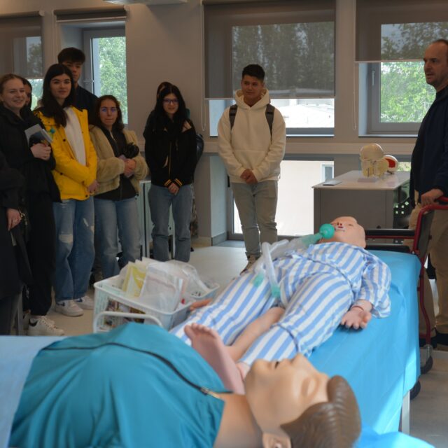 simulare 8 simulare 8